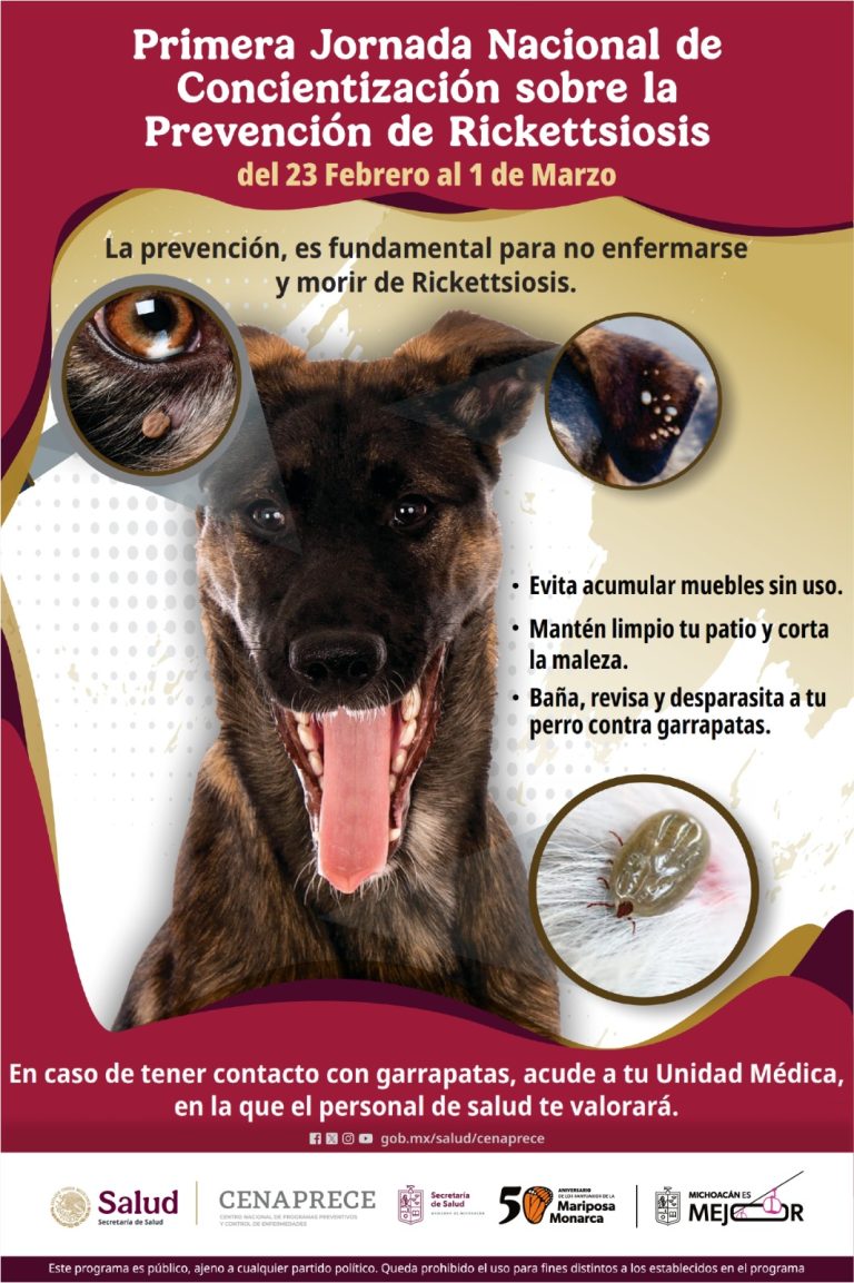 Michoacán se une a la Jornada Nacional contra la rickettsiosis