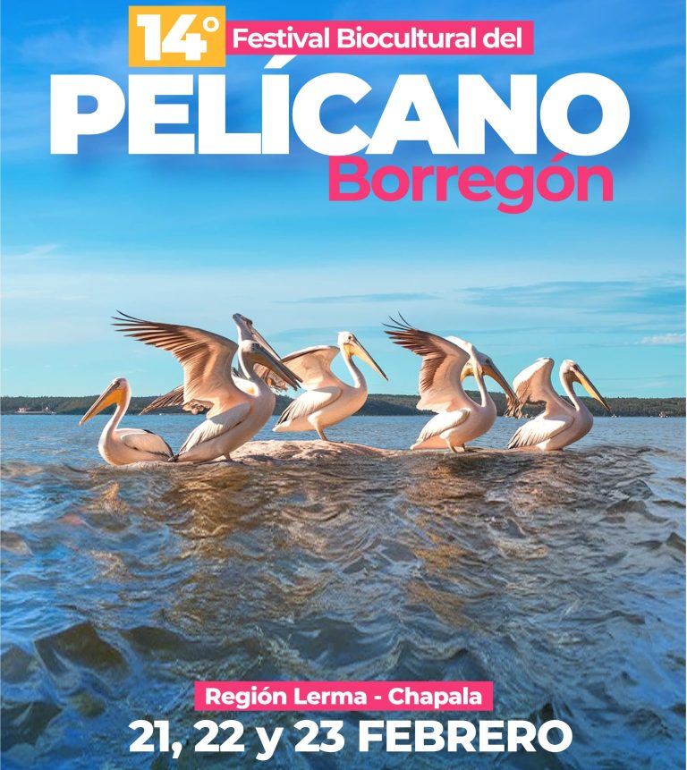 Presentan Festival Biocultural 2025 Michoacán para reforzar conservación del pelícano borregón