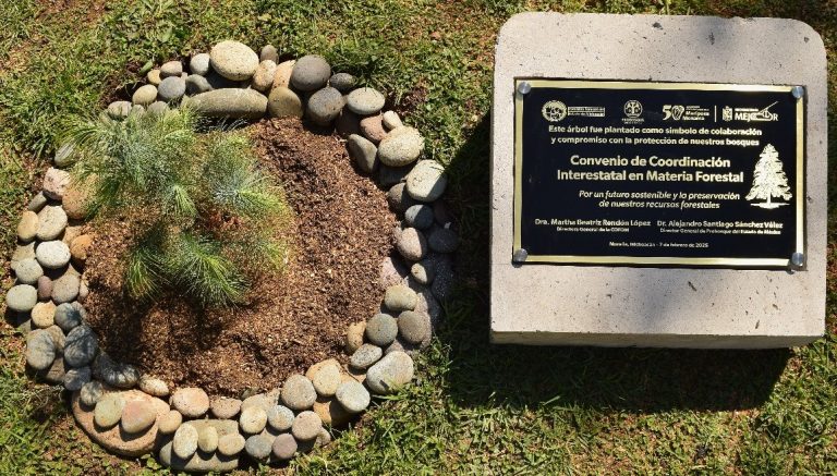 Se establece Grupo Interinstitucional en la Región Centro de México para proteger los bosques