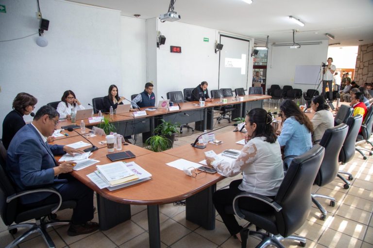 Aprueba el IEM renovación del Concejo Comunal Indígena de San Francisco Peribán