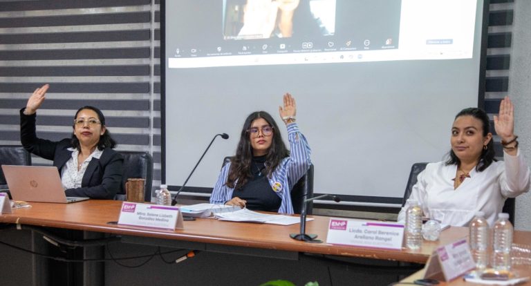 Aprueba IEM la implementación de la red de mujeres juzgadoras para el proceso electoral del Poder Judicial