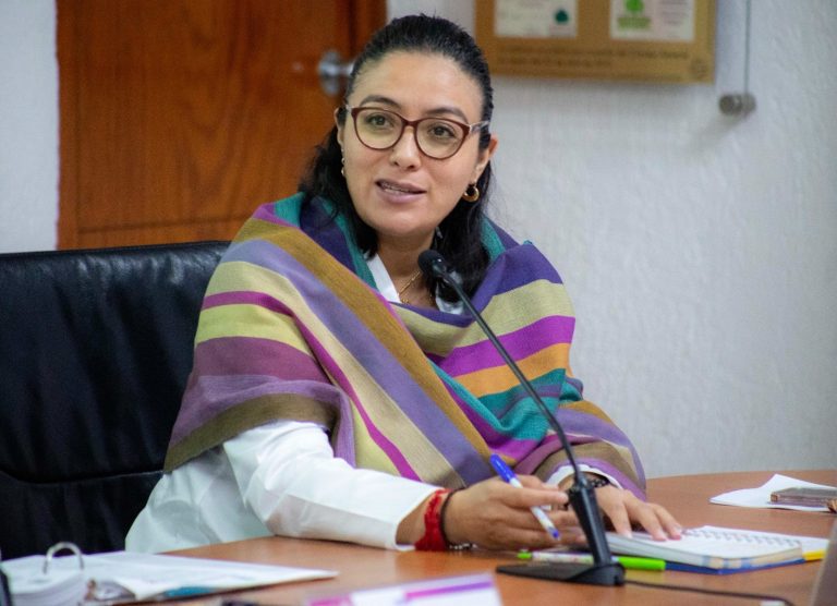 Michoacán, entre los estados con más cargos a elegir en el Poder Judicial