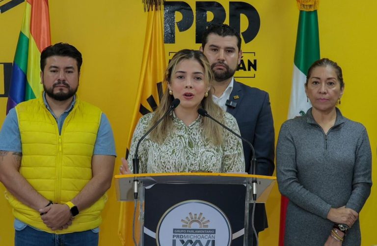Considera Brissa Arroyo aspirar a la dirigencia del PRDM