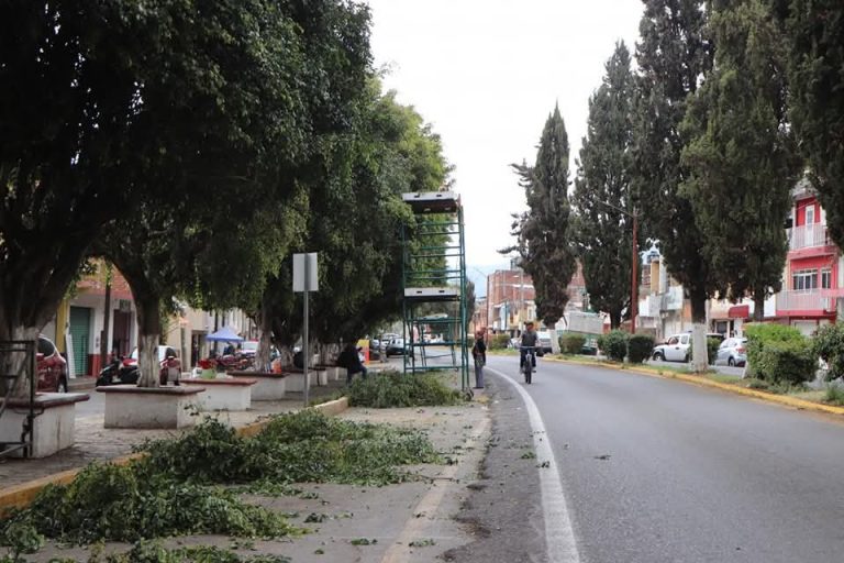 Impulsan iniciativa por un Quiroga verde y saludable