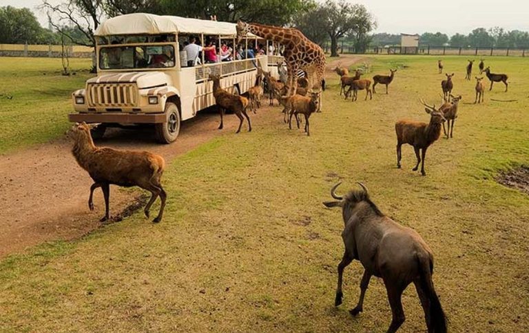 Reino Animal alcanza la más alta distinción en responsabilidad ambiental