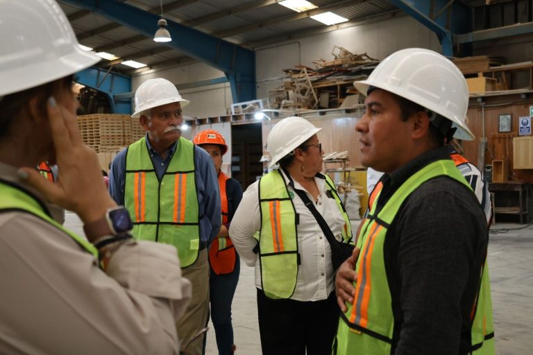 Apoyo a la certificación de bioinsumos producidos en Nuevo San Juan Parangaricutiro