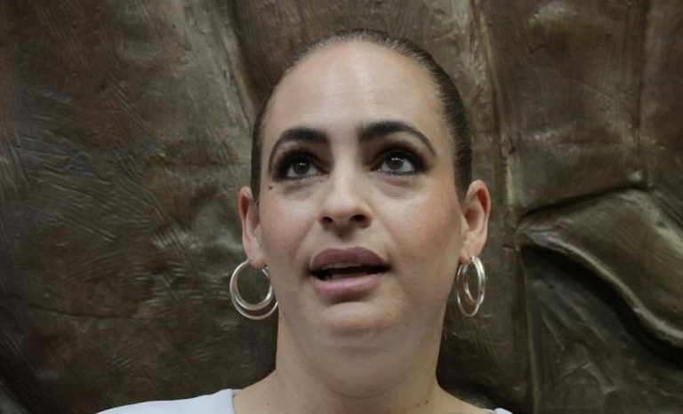 Diputados de diversas fracciones exigen frenar la violencia en Michoacán