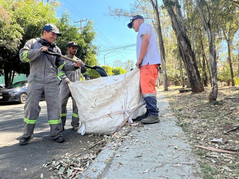 Gobierno de Morelia refuerza acciones de limpieza en espacios públicos