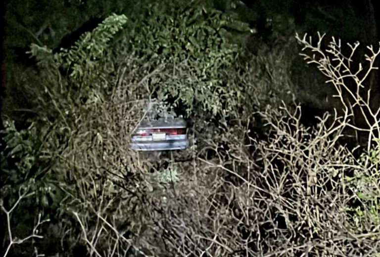 Automovilista esquiva a un semoviente y se sale del camino, en la autopista Siglo XXI