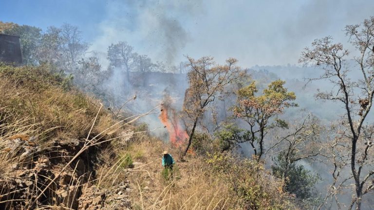 Controlado el incendio forestal en Jesús del Monte: Cofom
