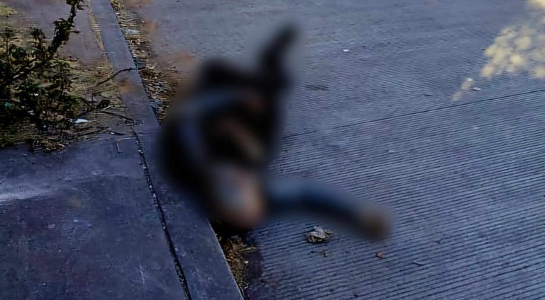 Comerciante es ultimado a balazos en la colonia El Bosque, de Jacona