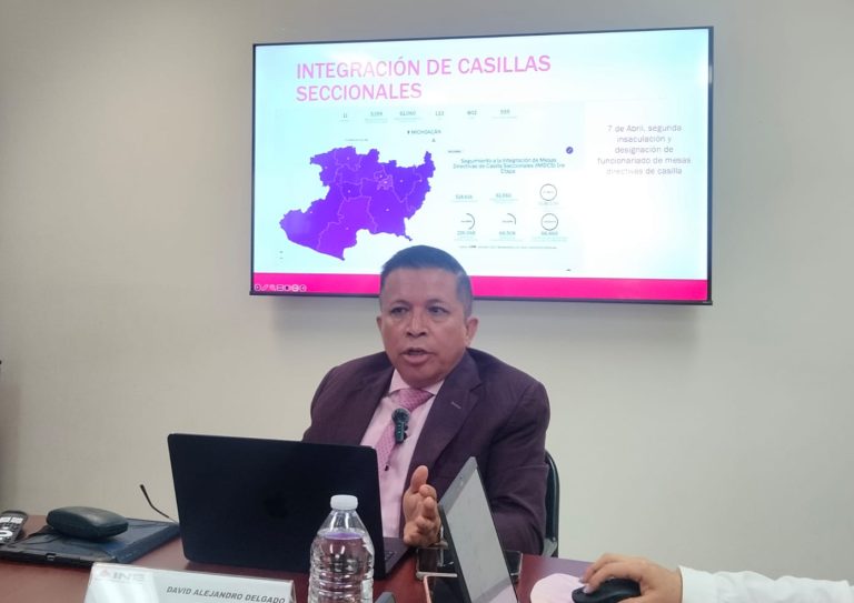 Sin dientes: INE admite limitaciones para regular campañas y candidaturas judiciales