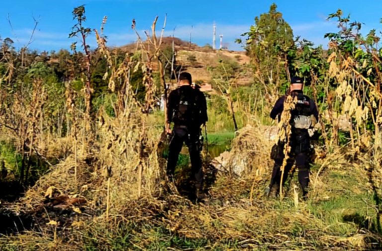 Hallan cadáver putrefacto en predio de Jacona