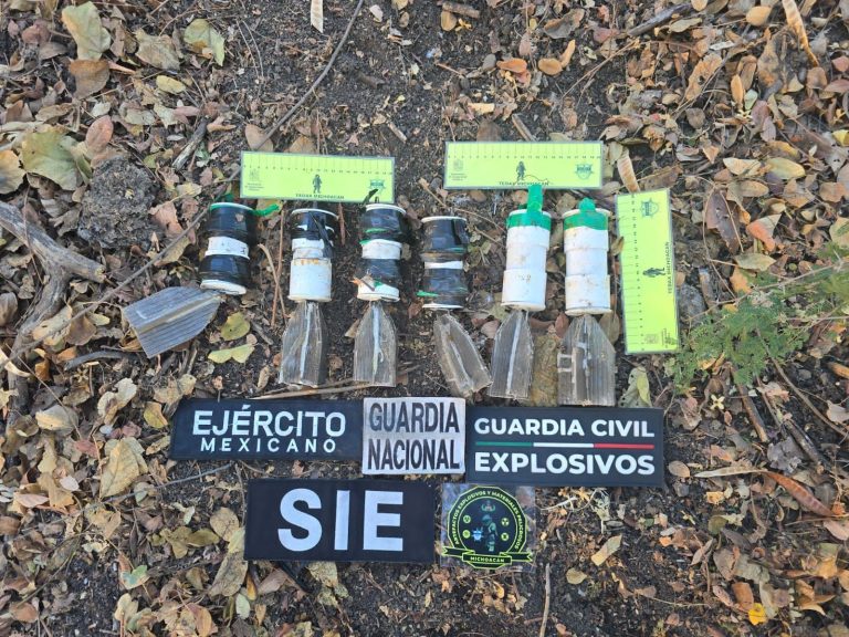 Aseguran seis artefactos explosivos en Buenavista