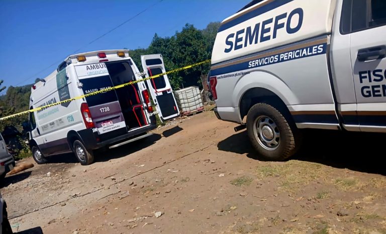 Niño muere tras presuntamente comer pan con veneno para ratas, en vivienda de Uruapan