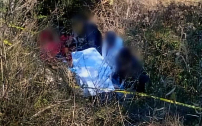 Motociclista muere al chocar contra árbol y caer a un barranco de la carretera Pátzcuaro-Quiroga
