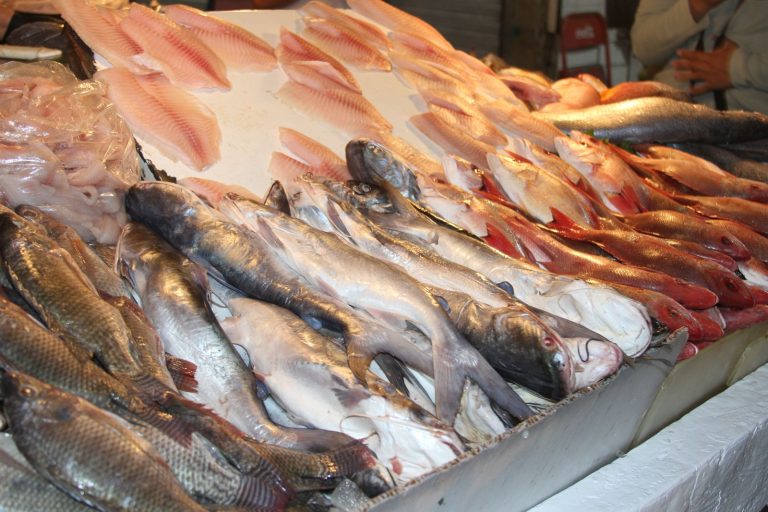 En Cuaresma, evita riesgos al consumir pescados y mariscos