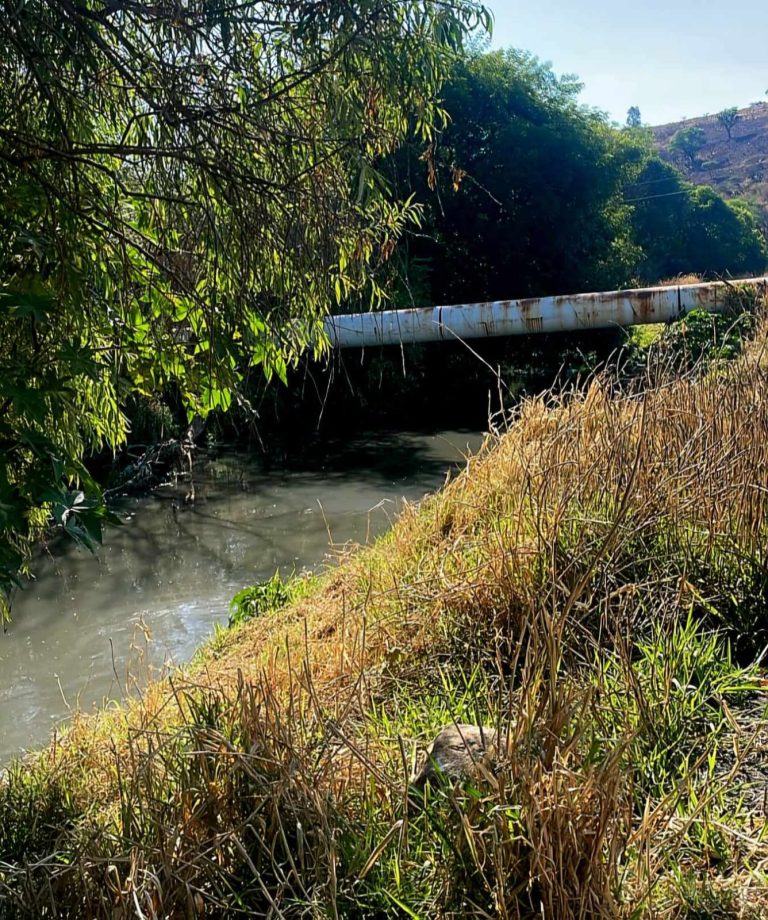 Localizan cadáver baleado en río de aguas negras al oriente de Morelia