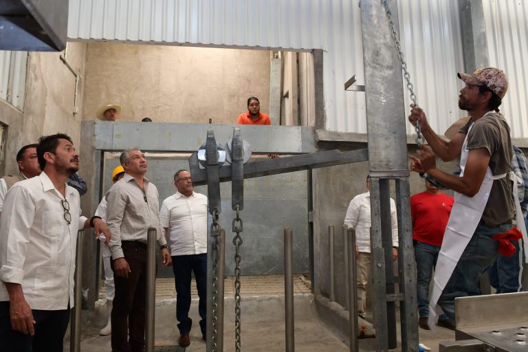 Sedeco impulsa reactivación económica en Tzitzio