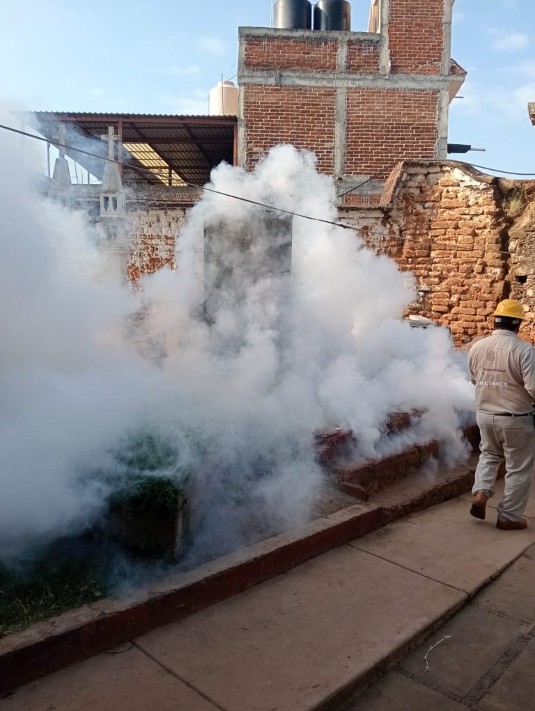 Con acciones preventivas, baja 52 % dengue en Michoacán: SSM