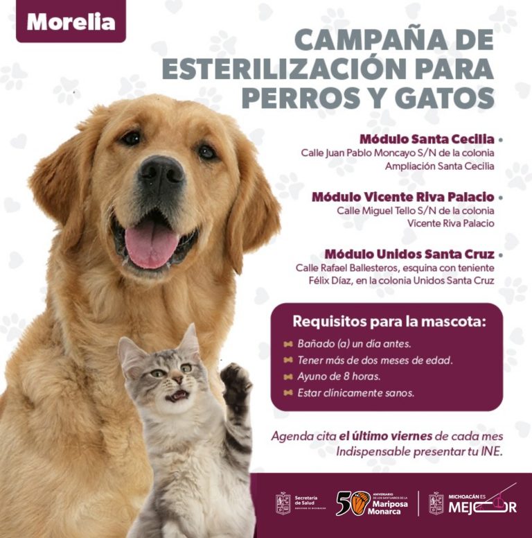 Conoce la importancia de esterilizar y vacunar a tus mascotas