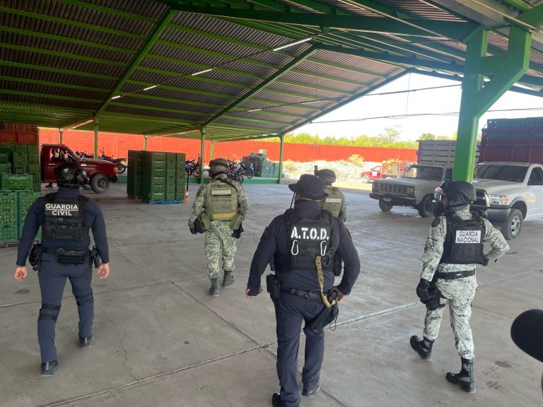 Continúa operativo contra extorsión a limoneros en Tierra Caliente
