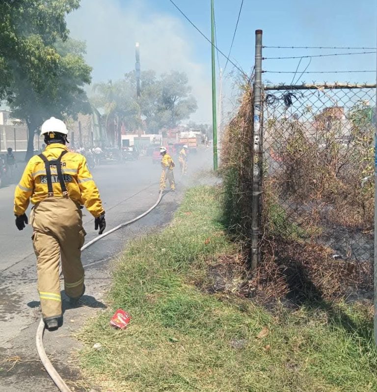 Incendio en lote baldío de la colonia Obrera moviliza a los bomberos, en Morelia