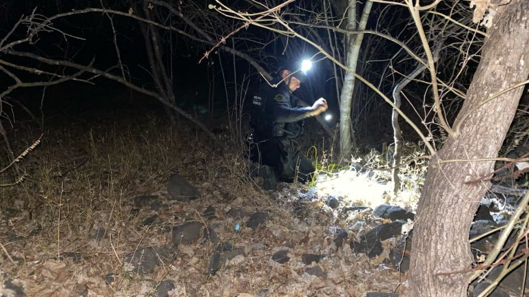 Desactivados 20 artefactos explosivos en Buenavista