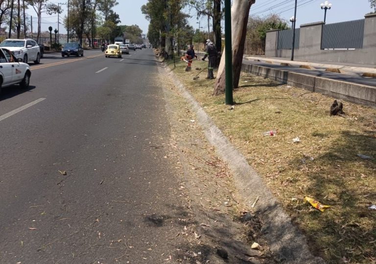 Ayuntamiento de Morelia realiza acciones de mantenimiento y embellecimiento urbano al poniente