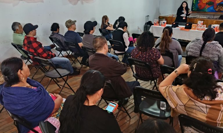 Capacitación en materia digital al sector turístico de Paracho