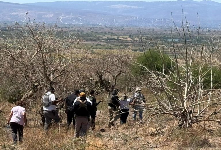 Brindan acompañamiento en la búsqueda de personas desaparecidas, en el municipio de Villamar