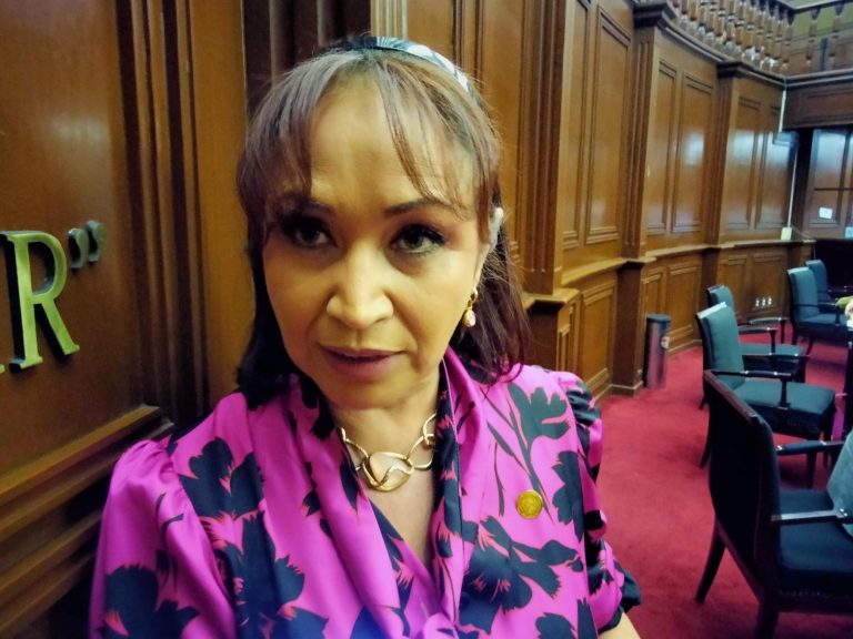 Protestas del 8M deben evitar daños a terceros, advierte diputada
