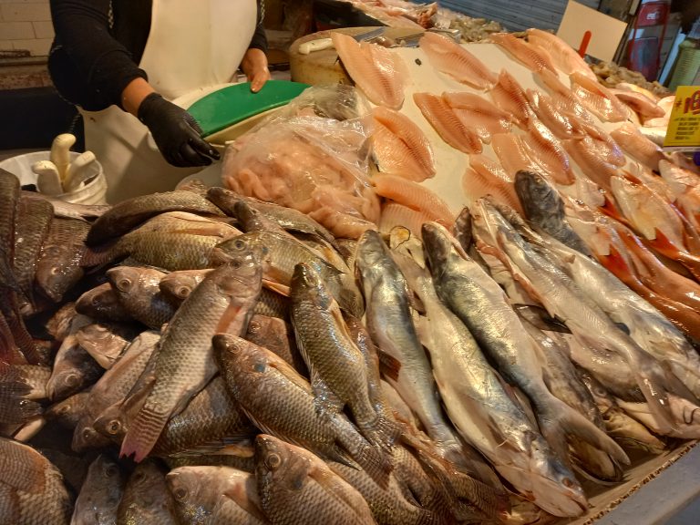 Consumir productos pesqueros en mal estado provoca enfermedades diarreicas, gastrointestinales e intoxicaciones