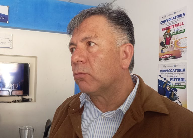 Temporada 2024-2025 de la Mariposa Monarca en Michoacán, de los más bajos en ocupación hotelera