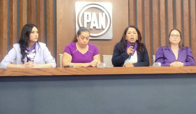 Morena ha dejado desprotegidas a las mujeres: PAN