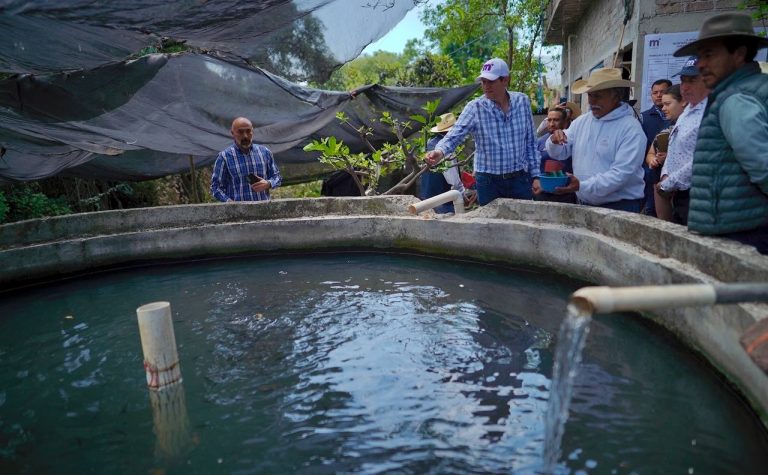 Gobierno de Alfonso Martínez apoya producción piscícola en las tenencias