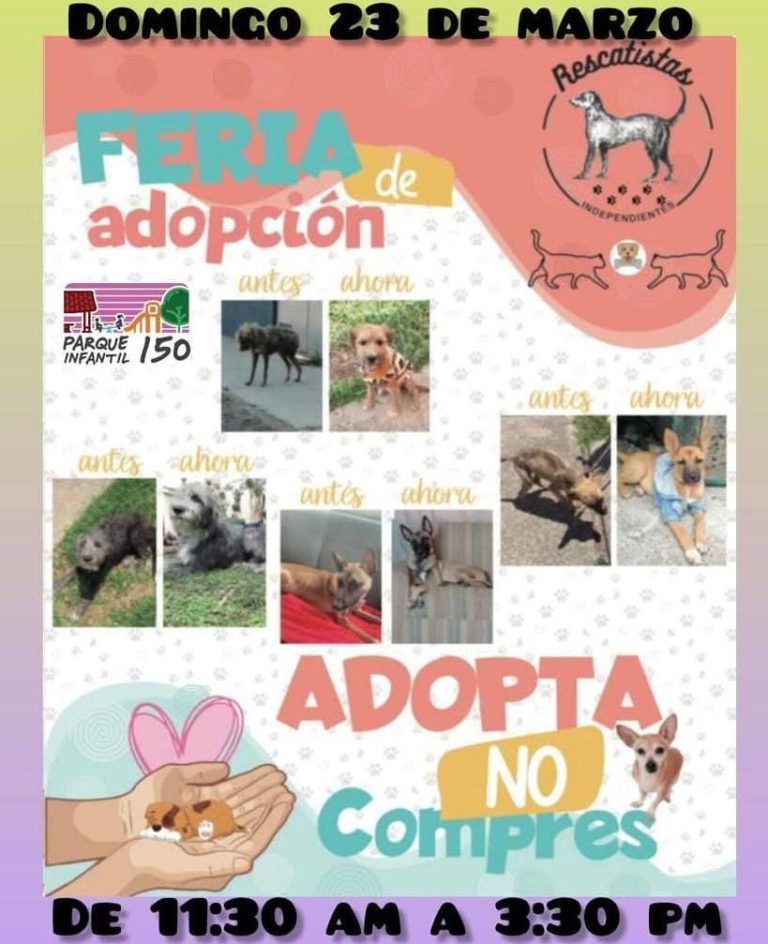Este domingo, Feria de Adopción en el Parque 150