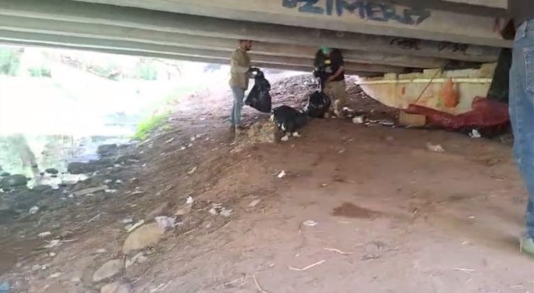 Gobierno de Morelia interviene bajo puentes de avenida Solidaridad