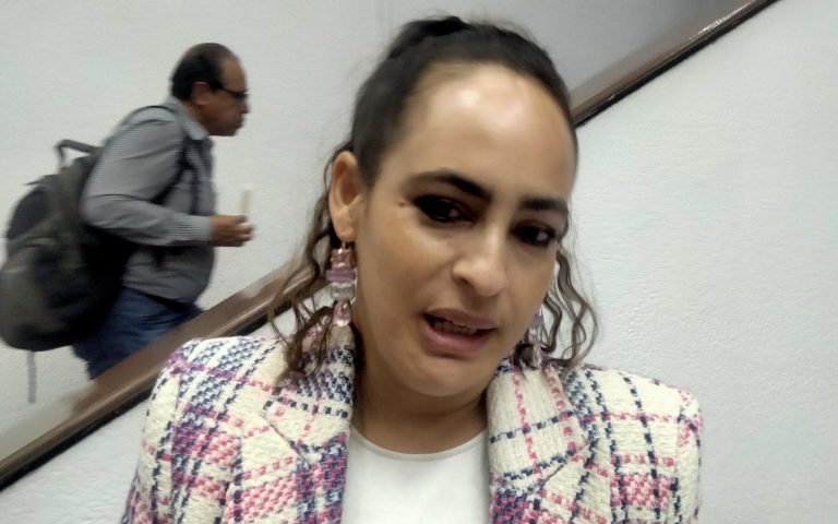 Caso Silvano Aureoles debe resolverse con legalidad y sin tintes políticos, afirma PVEM