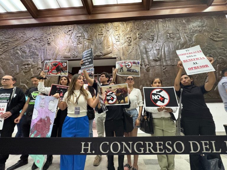 Activistas exigen en el Congreso de Michoacán la prohibición de la tauromaquia