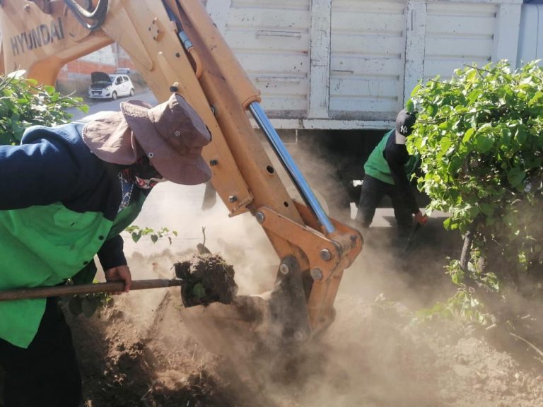 Gobierno de Morelia interviene áreas verdes en zona de las Tarascas