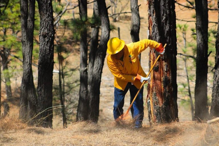 Se une Zoológico de Morelia a la campaña de acopio de víveres para brigadistas que combaten incendios forestales