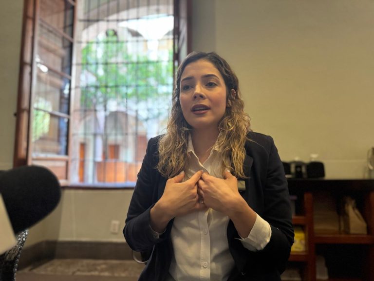 Brissa Arroyo denuncia simulación en el PRDM: “Estamos lejos de ser un partido feminista”