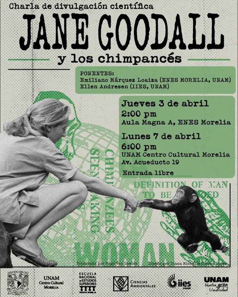 Invita UNAM Morelia a la charla “Jane Goodall y los chimpancés”