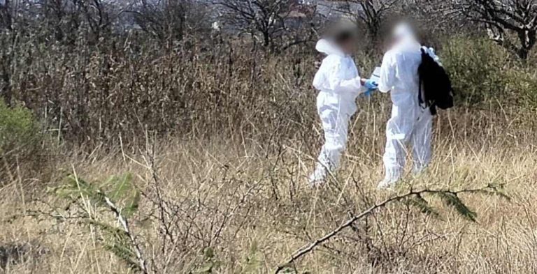 Encuentran a hombre putrefacto en un predio rústico de Zacapu