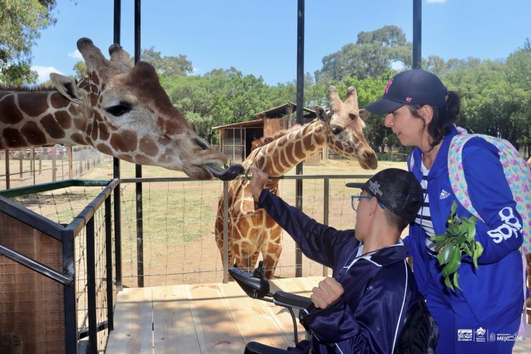 Vacaciones en Morelia, ¡animales asombrosos y experiencias únicas en el Zoológico!