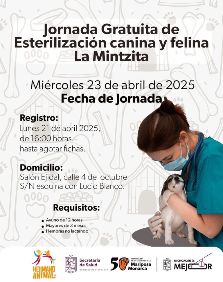Esterilizar para no abandonar: lanzan jornada gratuita en La Mintzita
