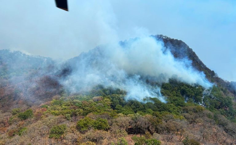 Familias de brigadistas fallecidos en incendio forestal en Tacámbaro recibirán un millón de pesos