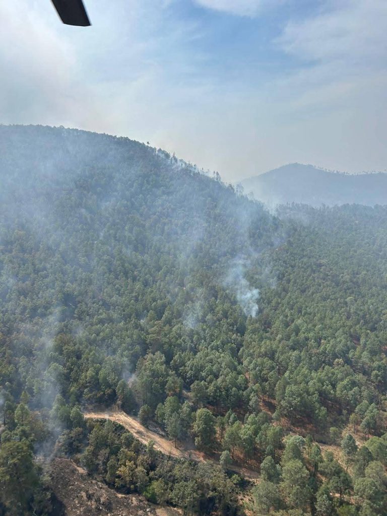 Hay 13 incendios forestales activos en Michoacán, extinguen uno en Cotija