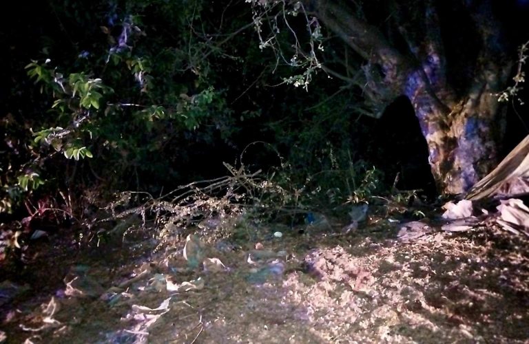 Localizan cadáver putrefacto en brecha de Zamora